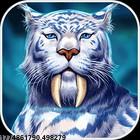 支持多区域联动活动